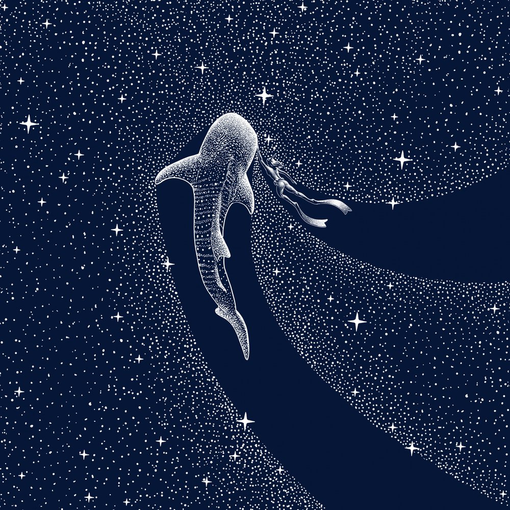 ジンベエザメの銀河の旅 作： 