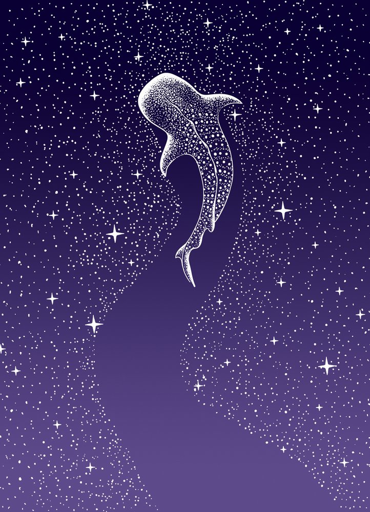 ジンベエザメと泳ぐ 作： 