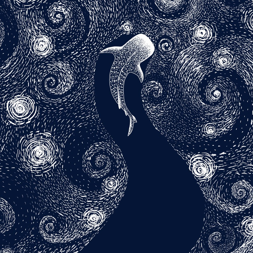 ジンベエザメの星の海 作： 