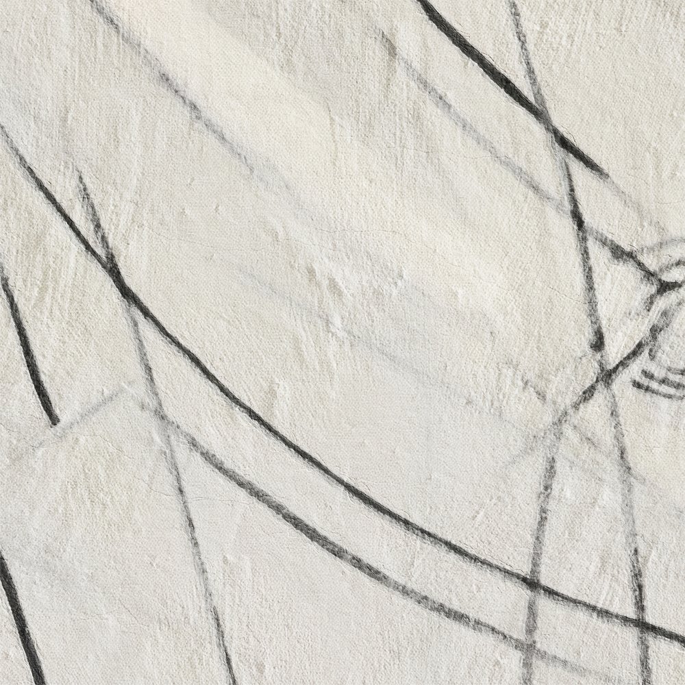 抽象的な黒い線 作： 