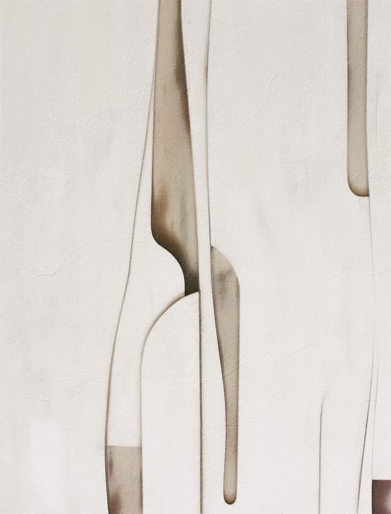 有機的な抽象的な形態 作： 