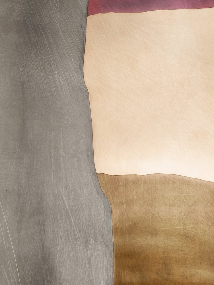 オーガニック・カラー・フィールズ 作： 