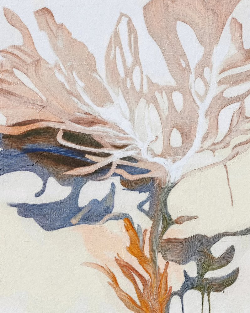 有機的な流線形 作： 