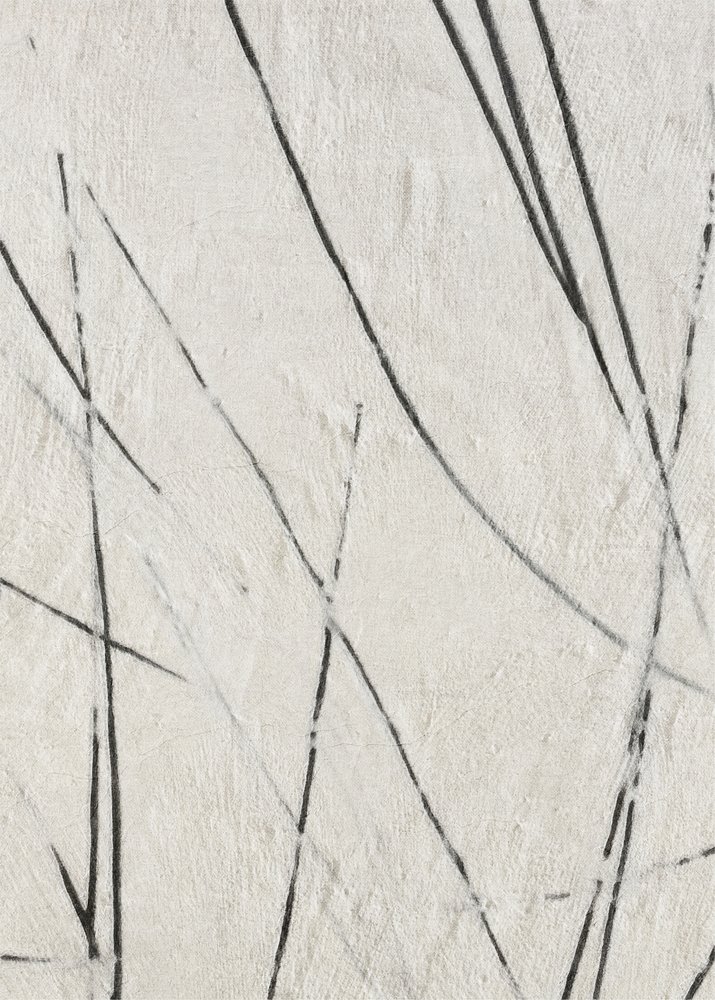 オーガニック・ラインズの質感 作： 