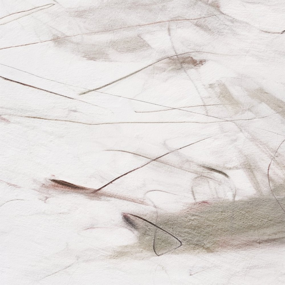 繊細で流れるようなライン 作： 