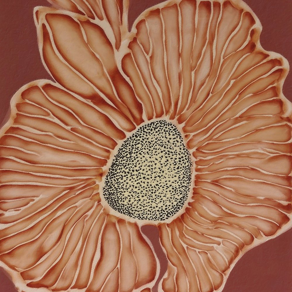 暖かな植物の花 作： 