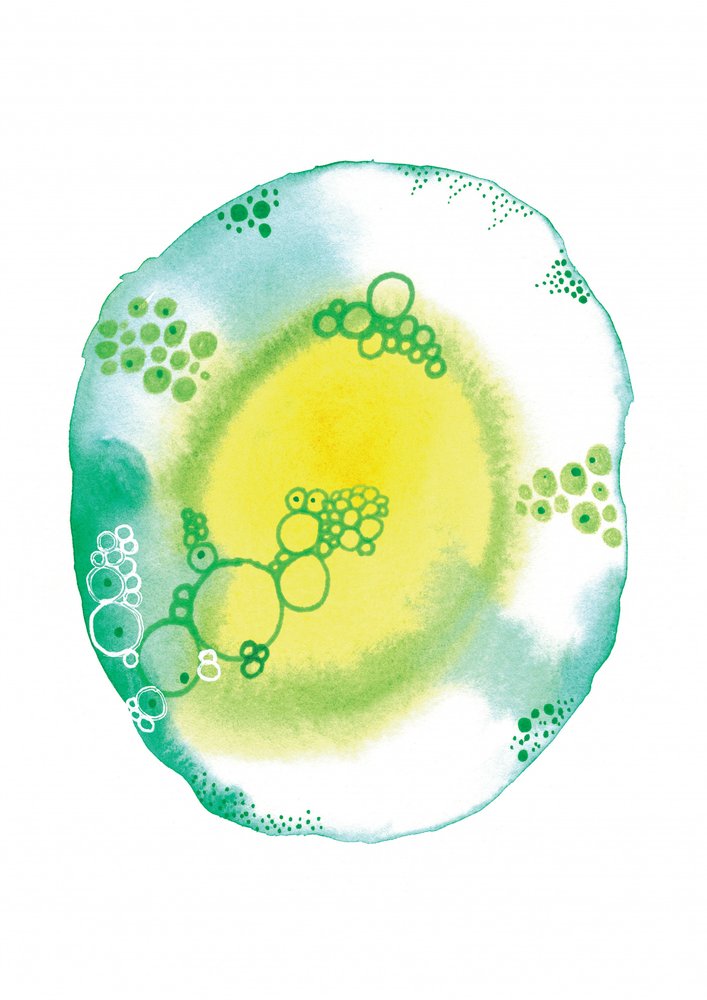 有機流体バブル 作： 