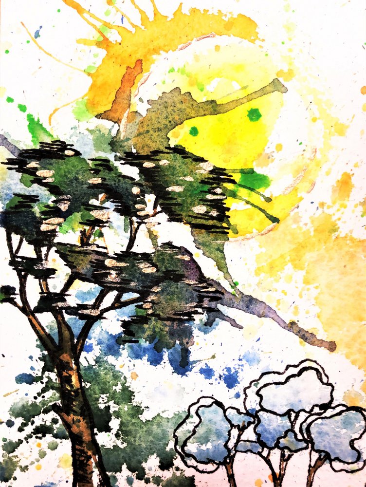 「陽光を浴びる木々」 作： 