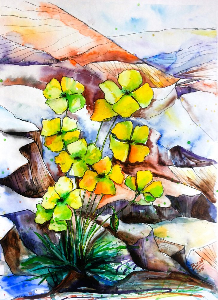 色鮮やかな山の花 作： 