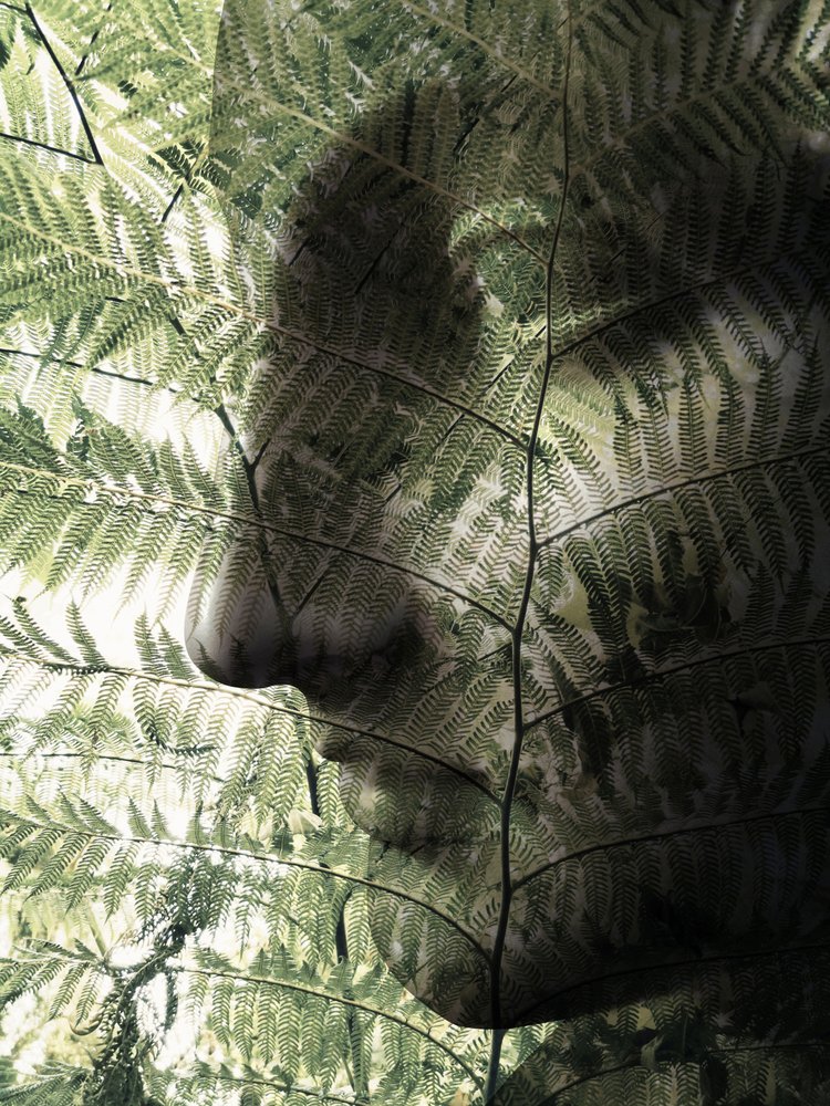 植物由来のフェイスケア 作： 