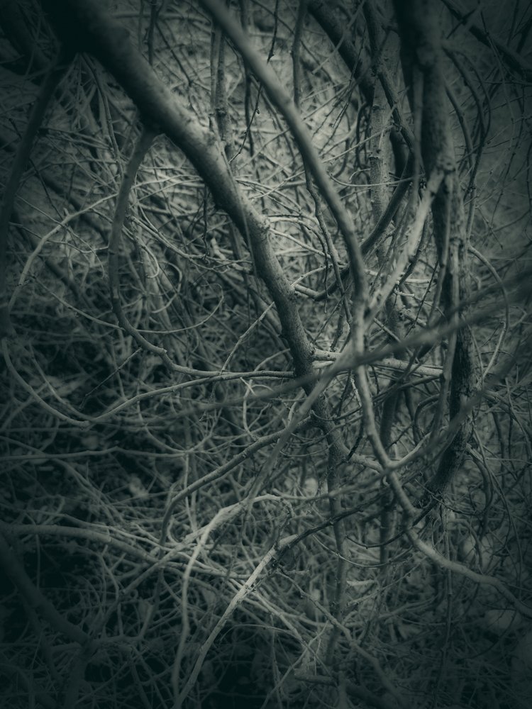  作： 