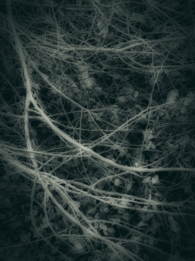  作： 