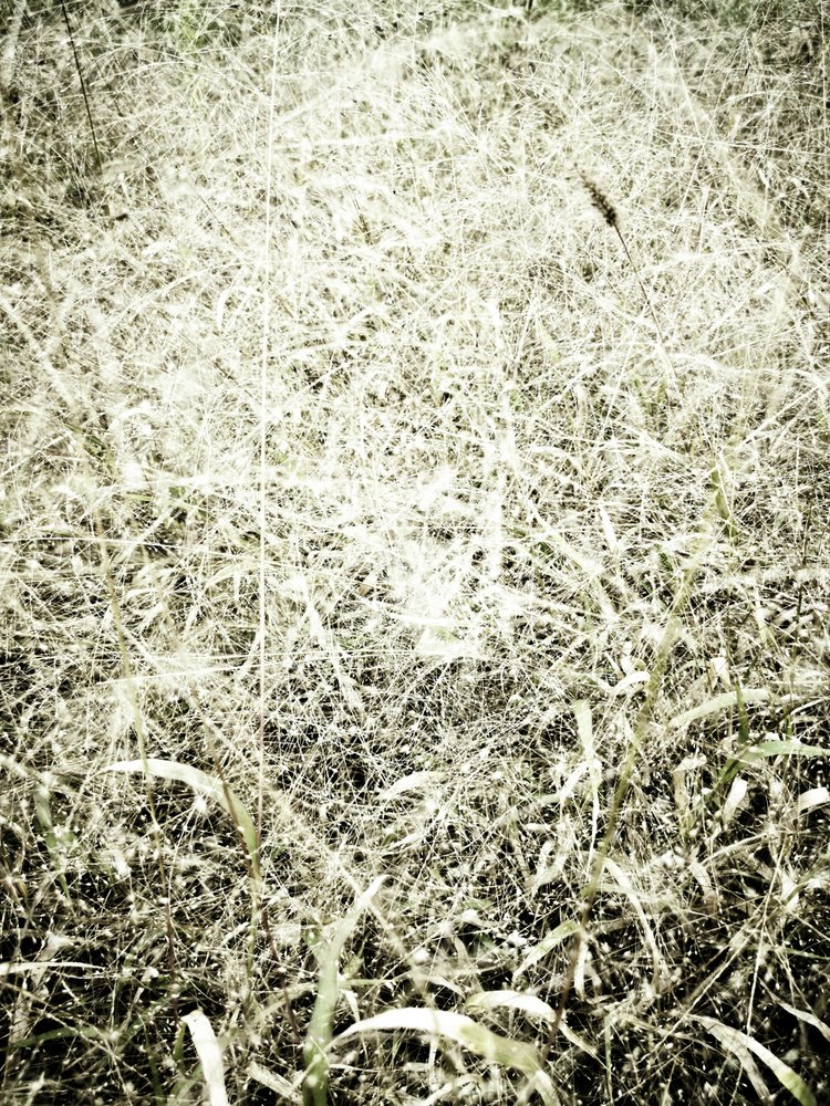  作： 