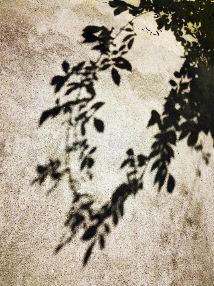  作： 