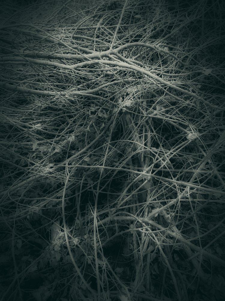 作： 