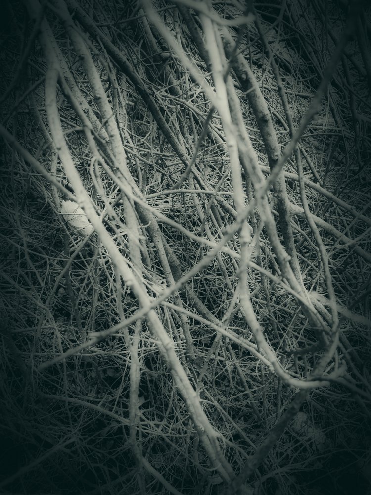  作： 