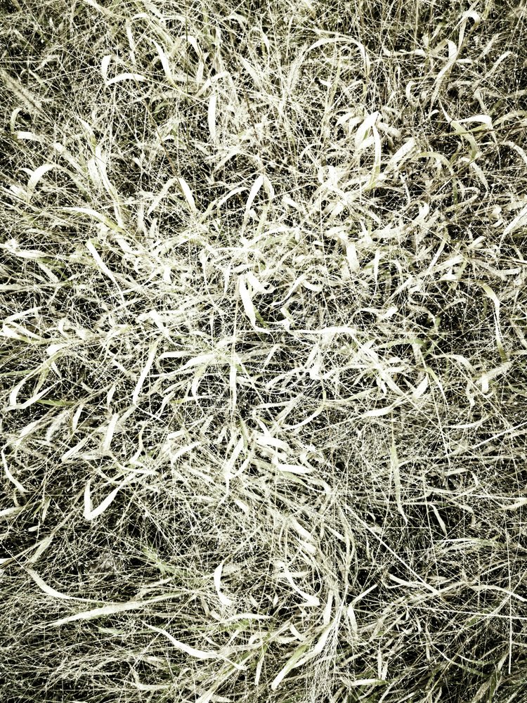  作： 