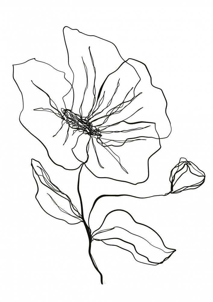 繊細な花のスケッチ 作： 