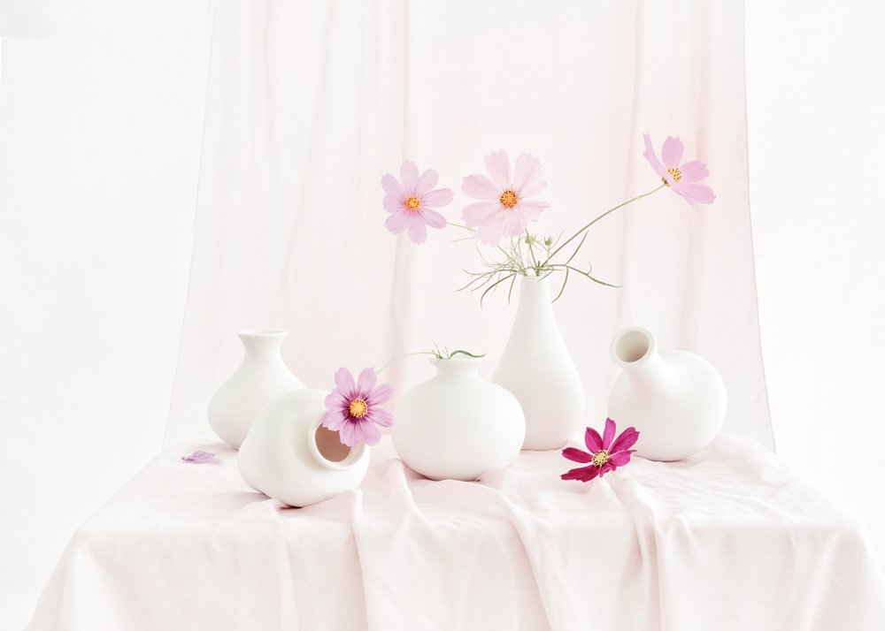 コスモスの花を添えた静物画 作： 