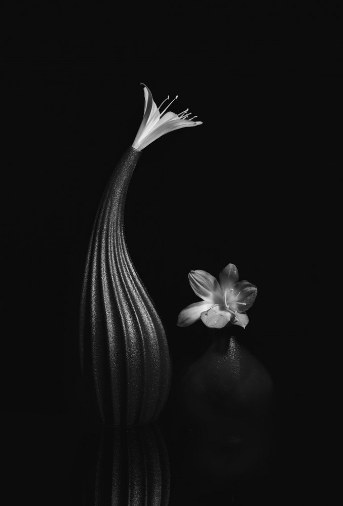 優雅な花の静物画 作： 