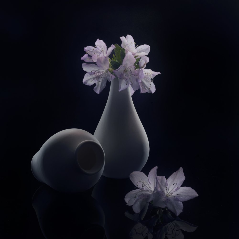 ムーディな花と花瓶 作： 
