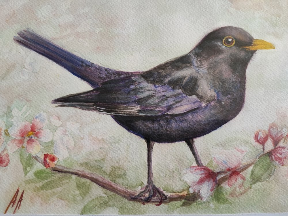 ブラックバードと桜 作： 