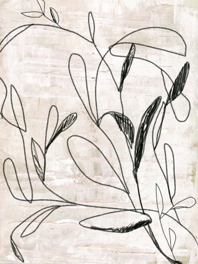 植物の線画 作： 