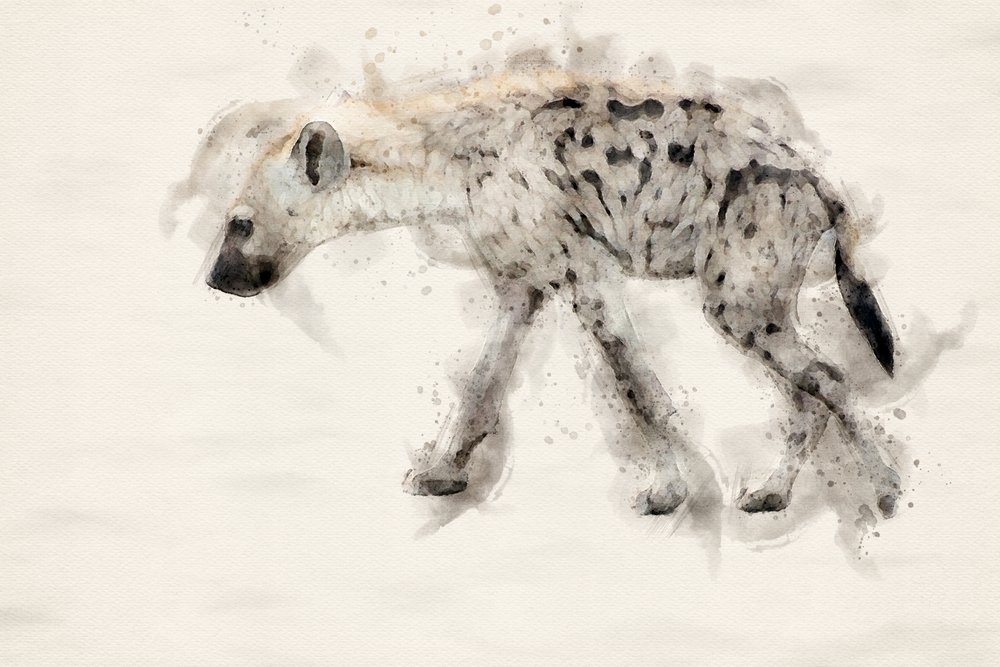  作： 