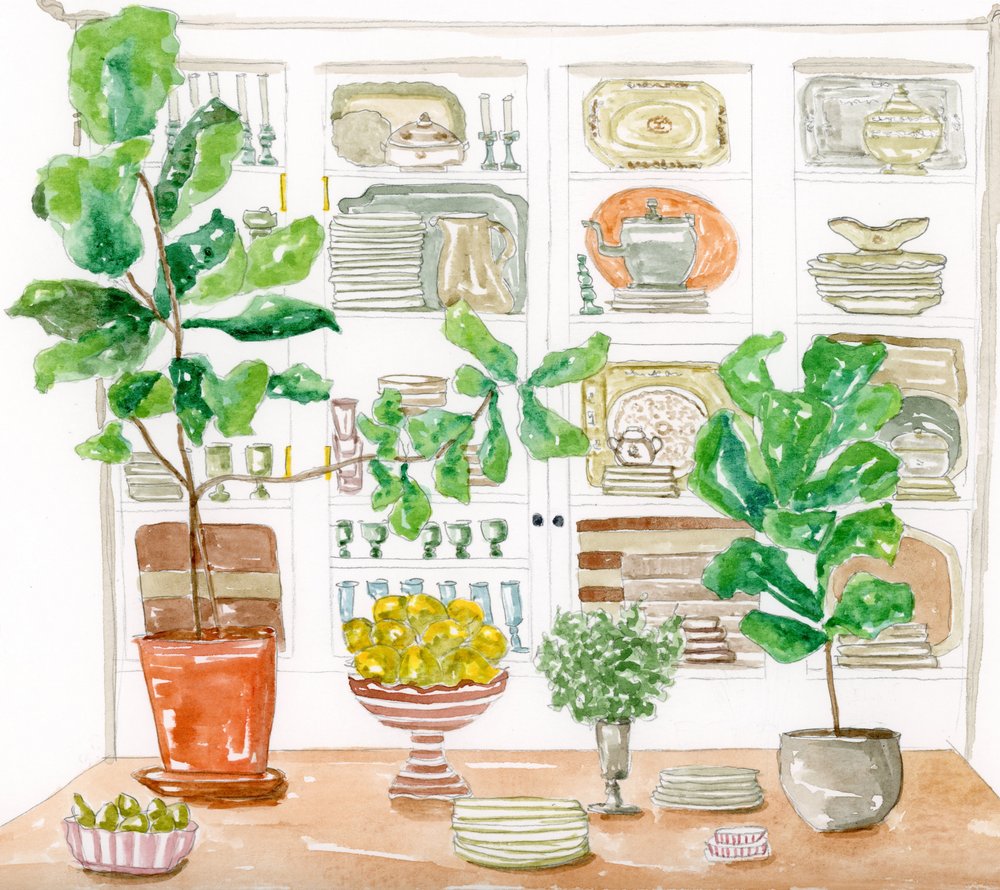 キッチンキャビネットに置く植物 作： 
