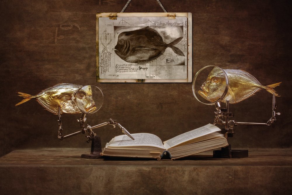 好奇心旺盛な魚の学者たち 作： 