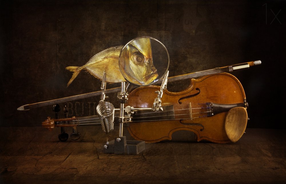 拡大された魚とヴァイオリン 作： 