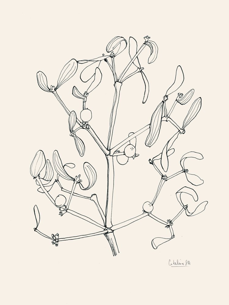 ホリデー・ミストレットの線画 作： 