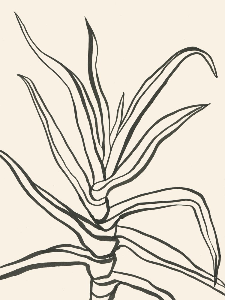 ミニマルな植物の輪郭 作： 