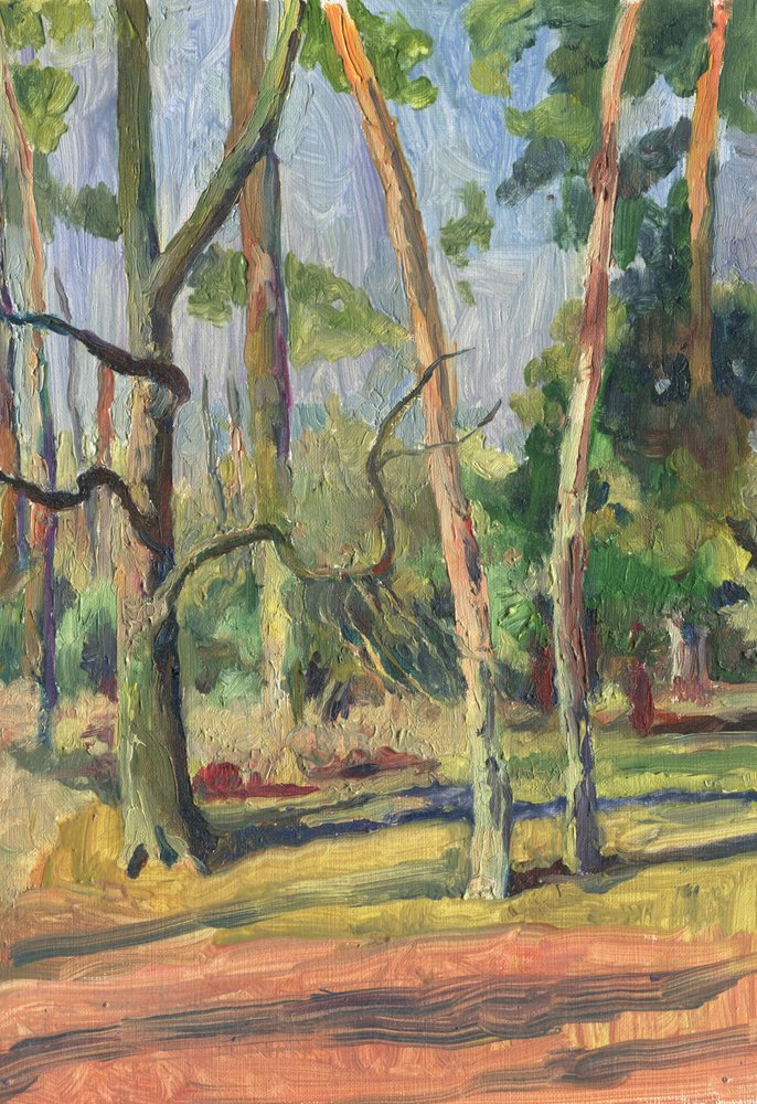 日差しが差し込む森の小道 作： 