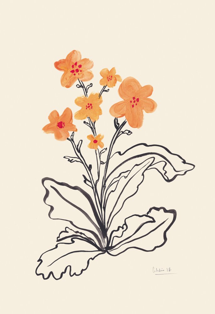 鮮やかなオレンジ色の花 作： 