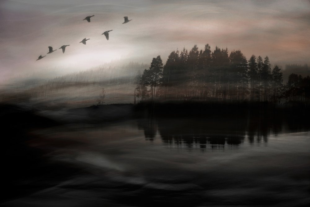 霧の湖の上を飛ぶ鳥たち 作： 