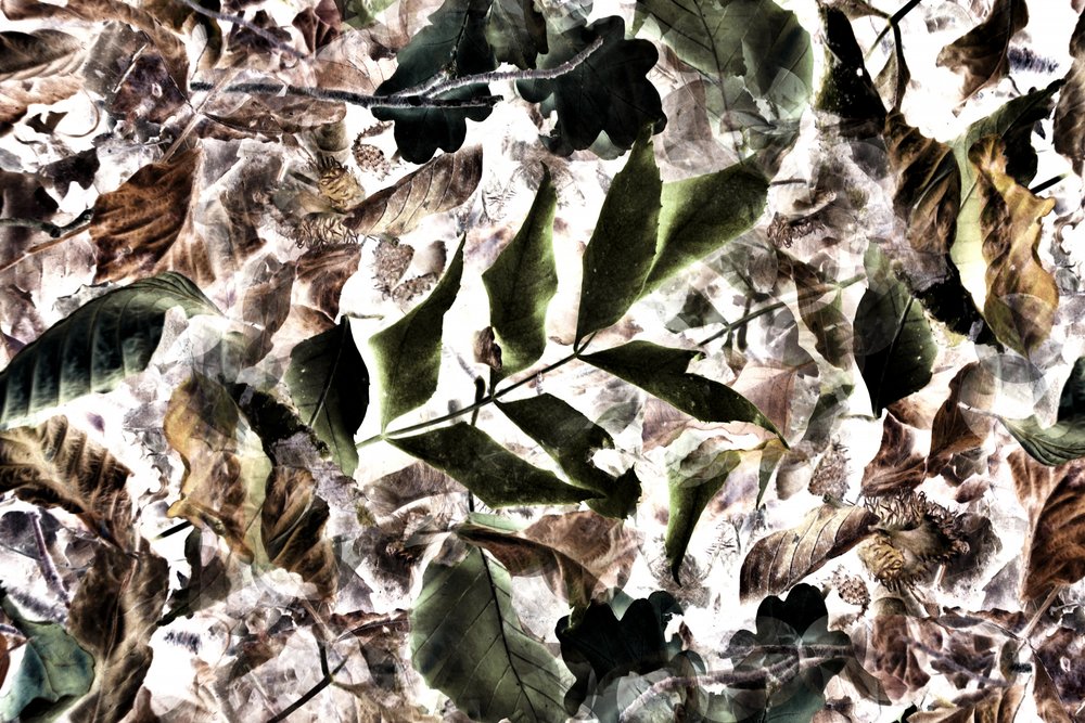  作： 