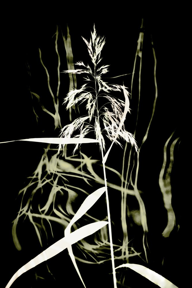  作： 