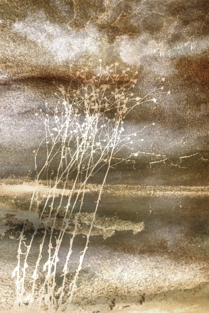  作： 