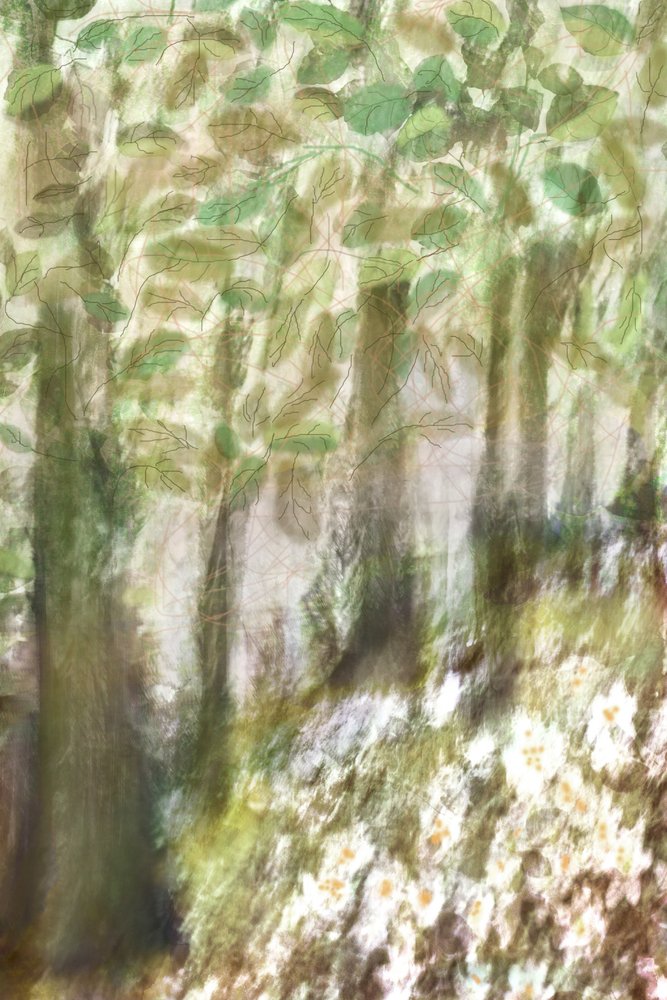 夢のような森の花 作： 