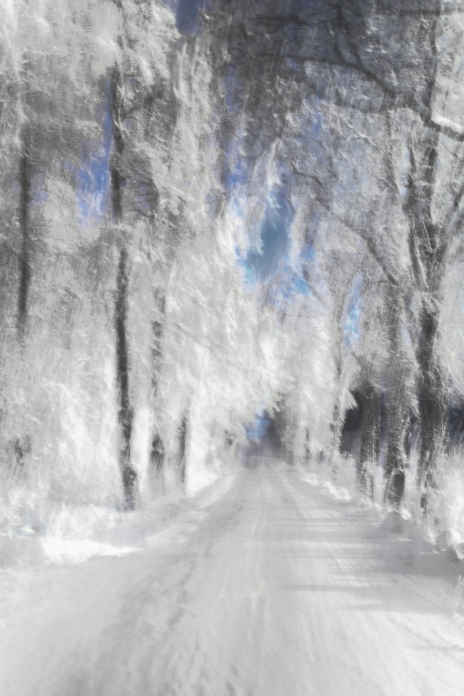 幻想的な雪道 作： 