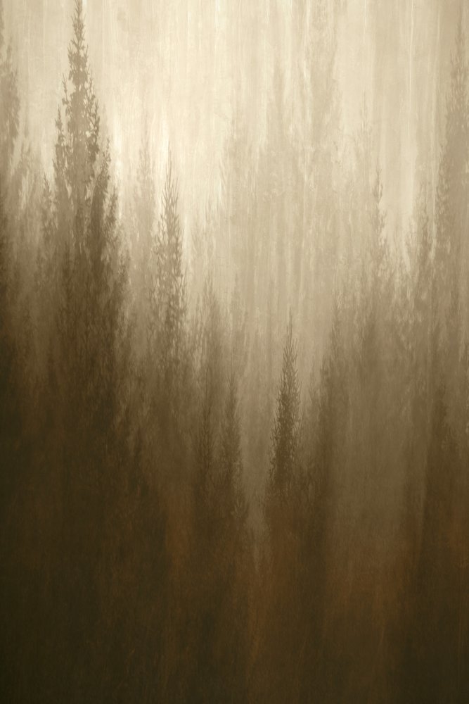 森の靄 作： 