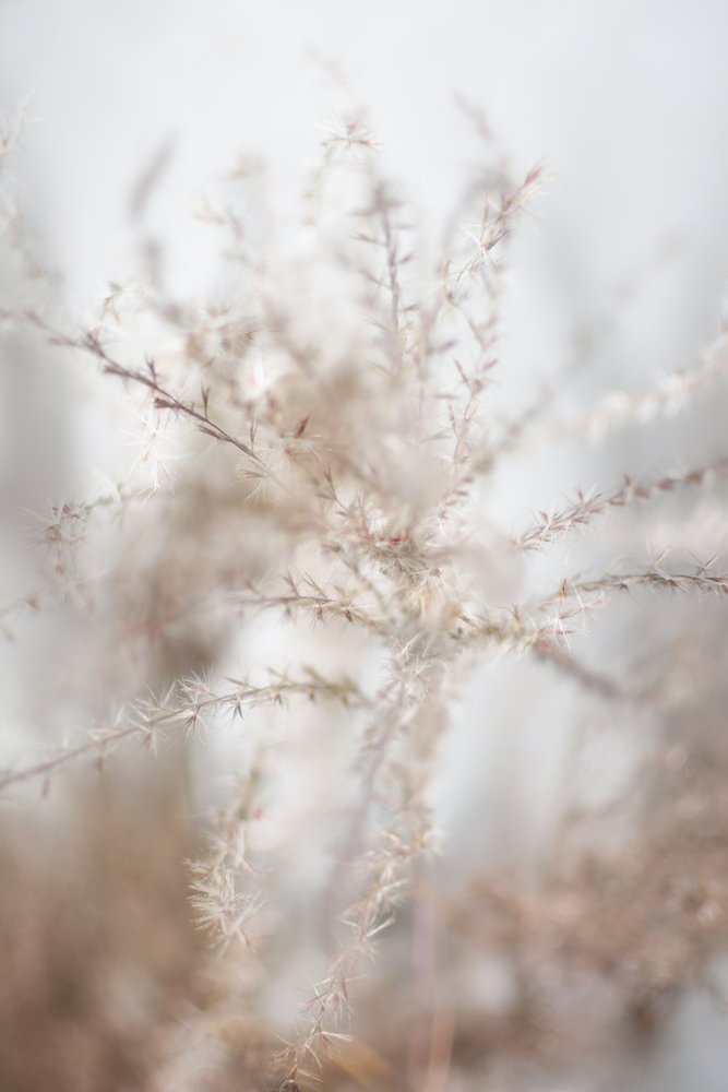 やさしい乾燥ハーブ 作： 