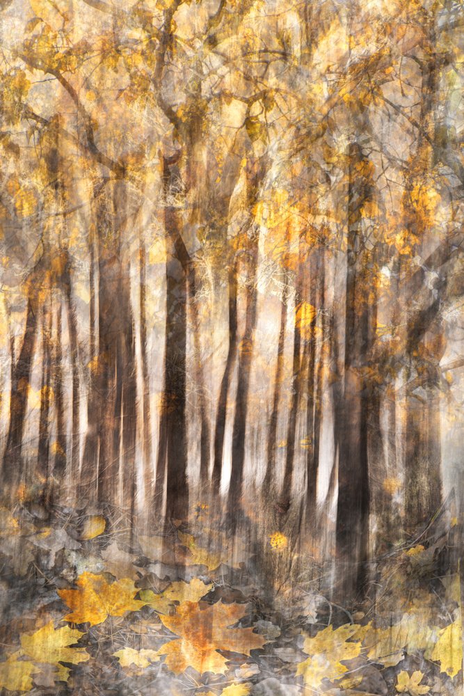  作： 