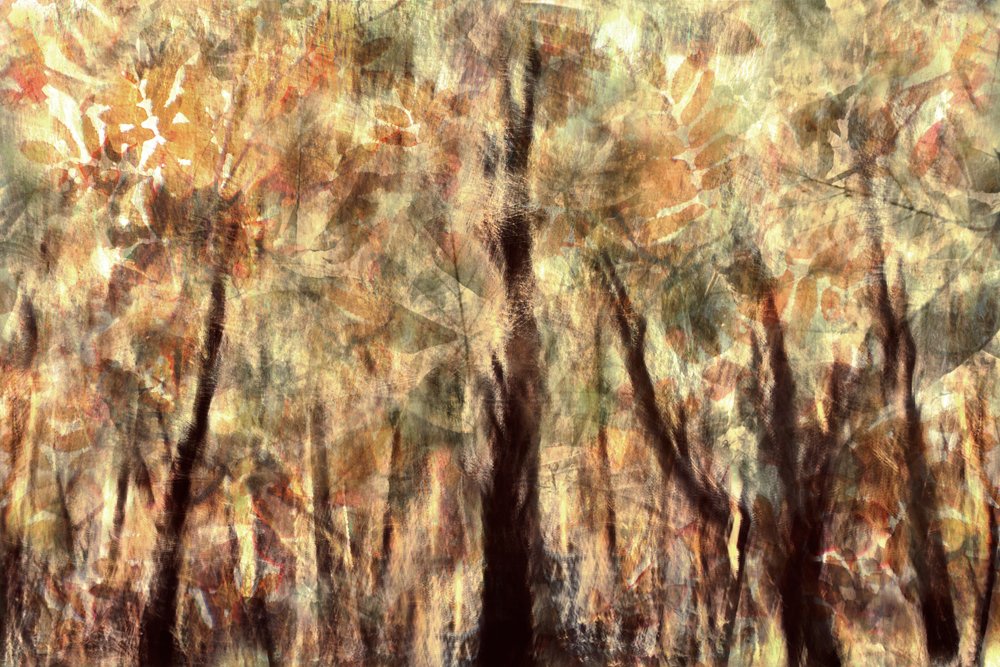  作： 