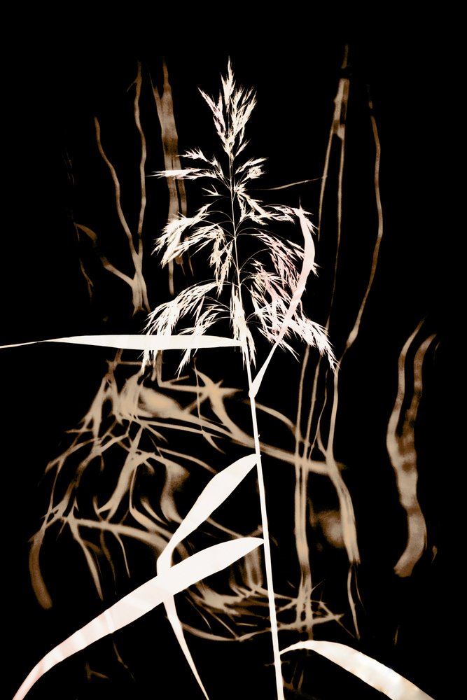  作： 