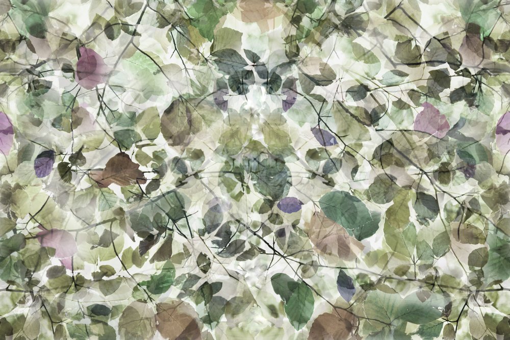  作： 