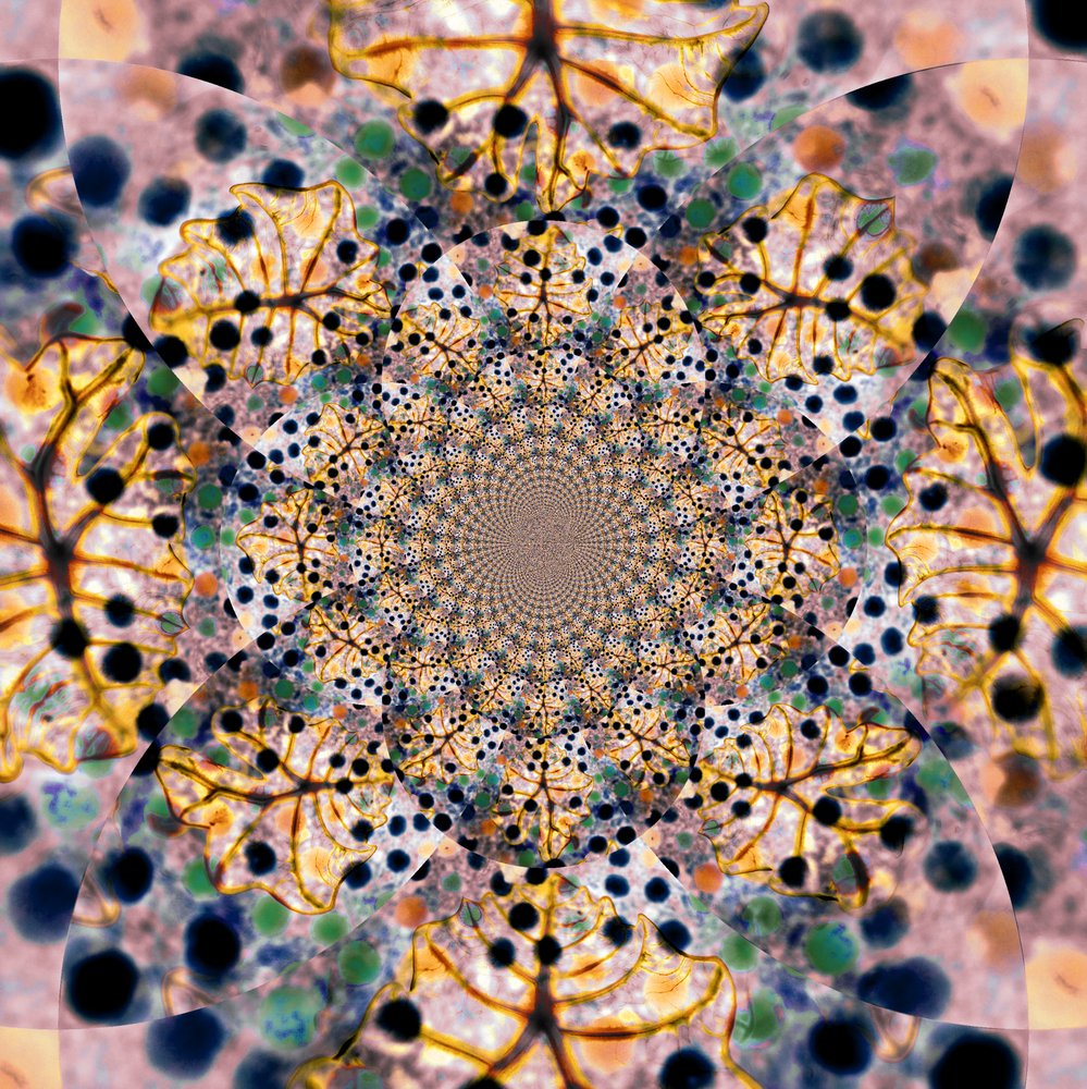  作： 