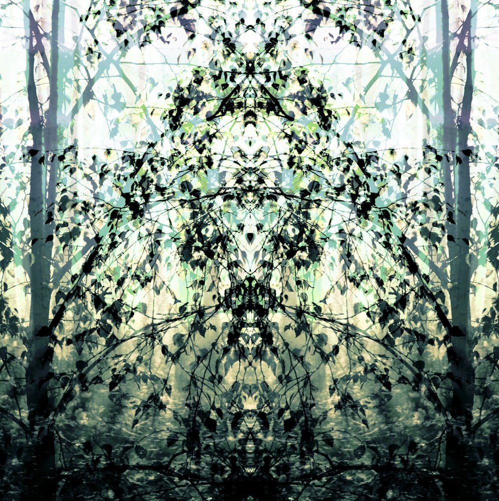 鏡の森の夢 作： 