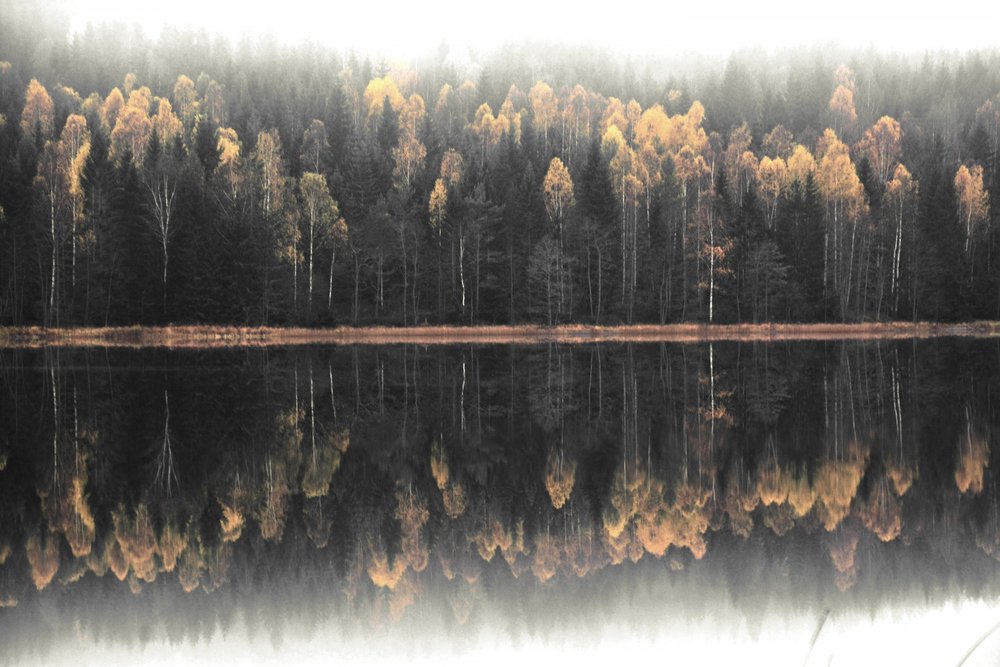 霧のかかった秋の水面に映る景色 作： 